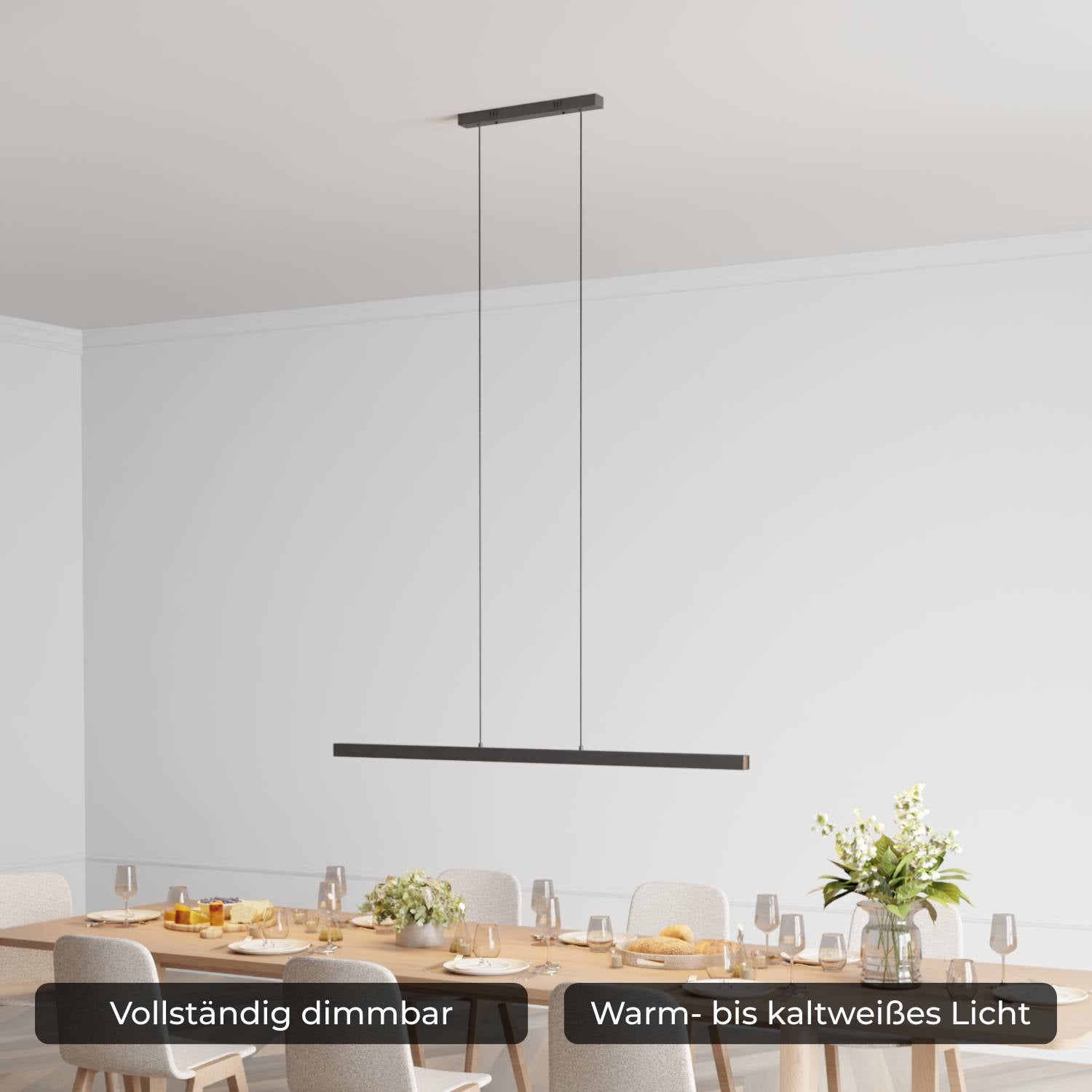 Calimera Designer Pendelleuchte